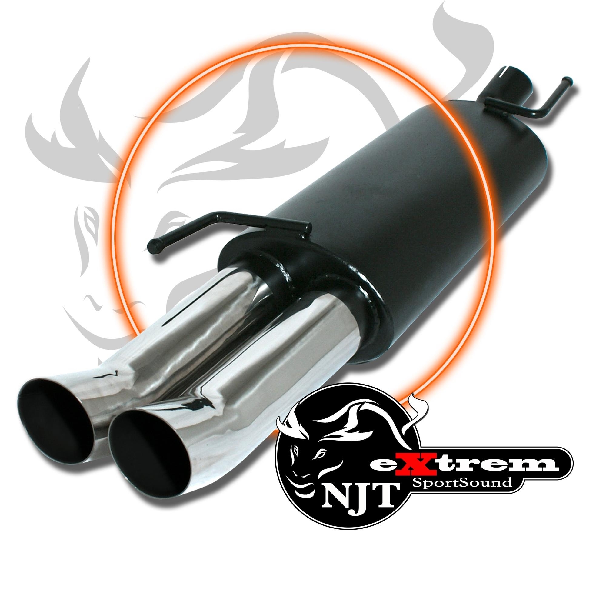 Edelstahl Endschalldämpfer 2x 76mm DTM