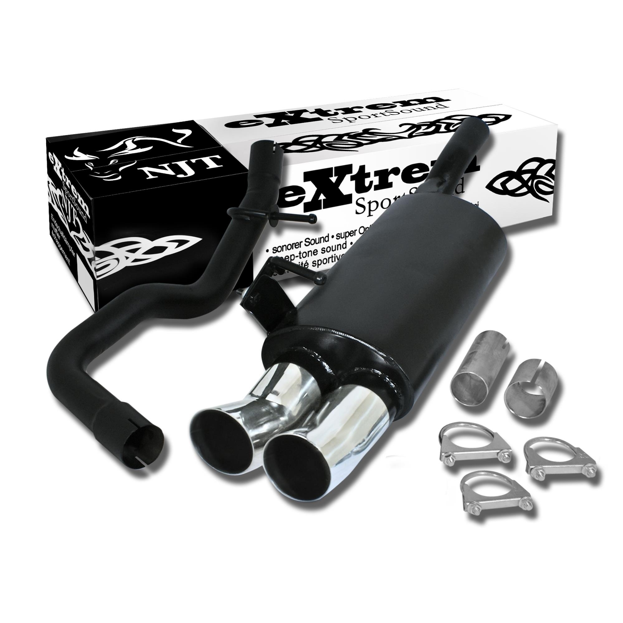 Edelstahl Endschalldämpfer 2x 76mm DTM