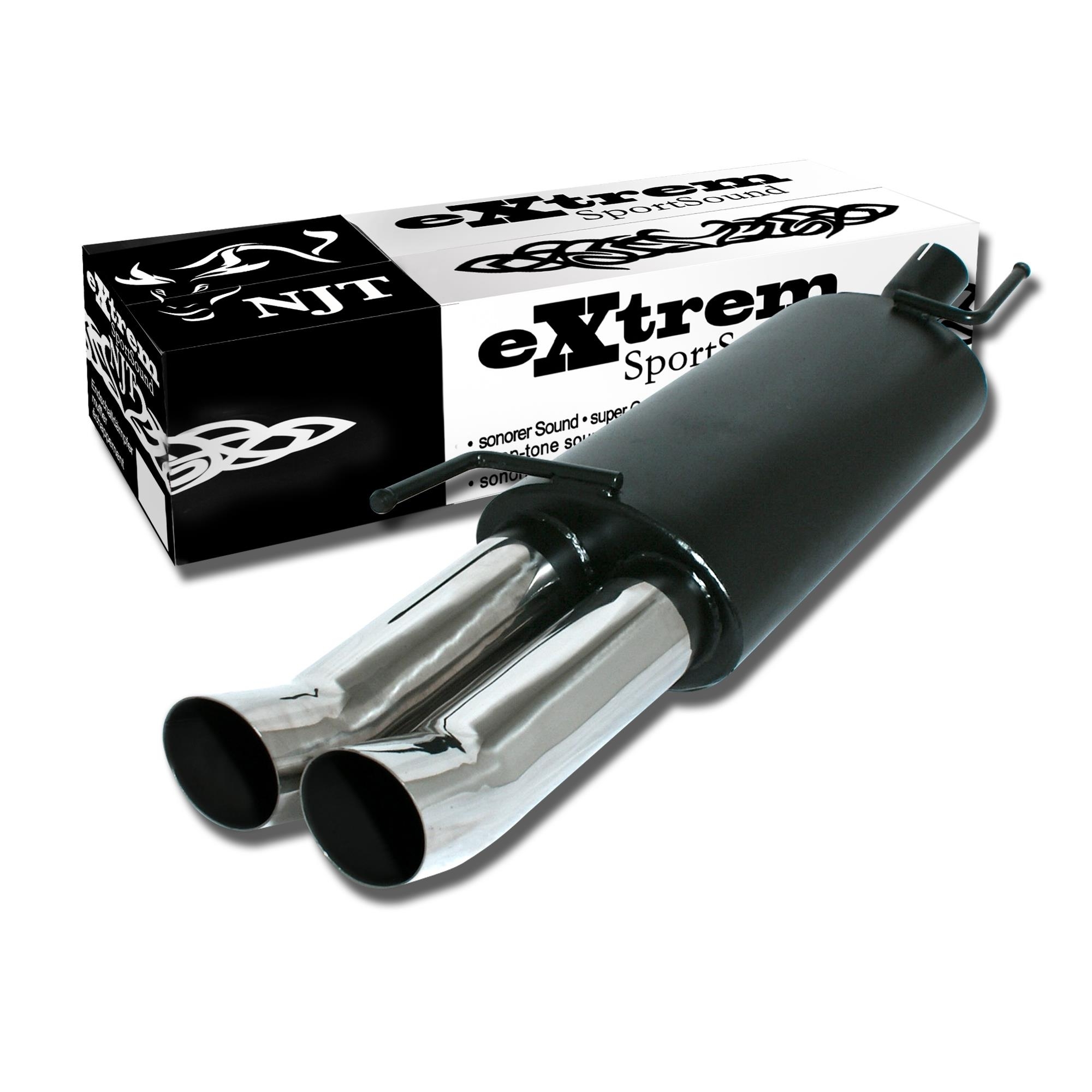 Edelstahl Endschalldämpfer 2x 76mm DTM