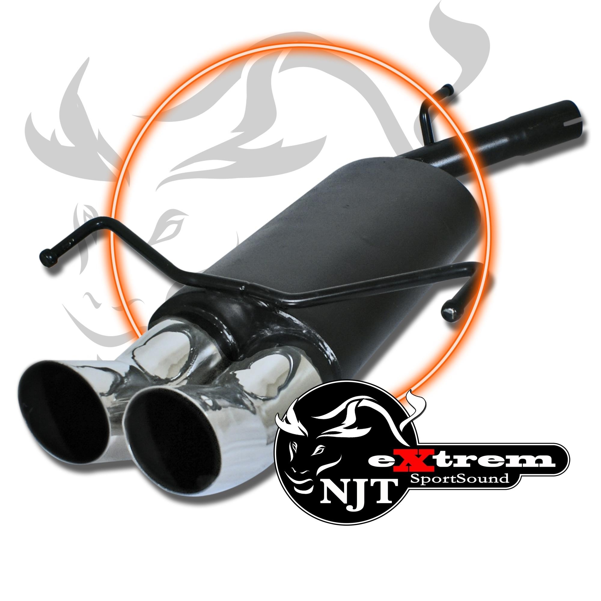 Edelstahl Endschalldämpfer 2x 76mm DTM