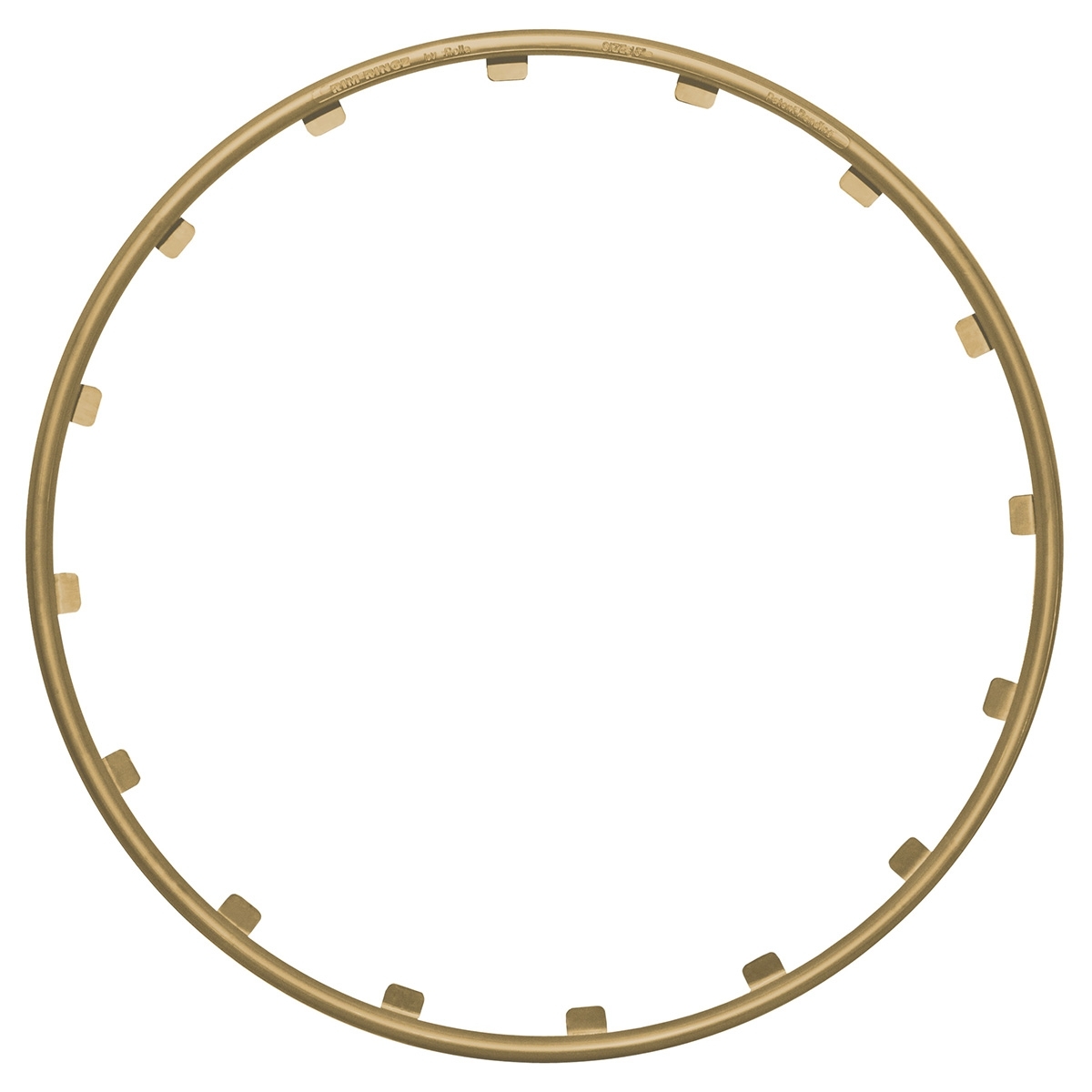 Rim Ringz Felgenschutzringe 17" in Gold