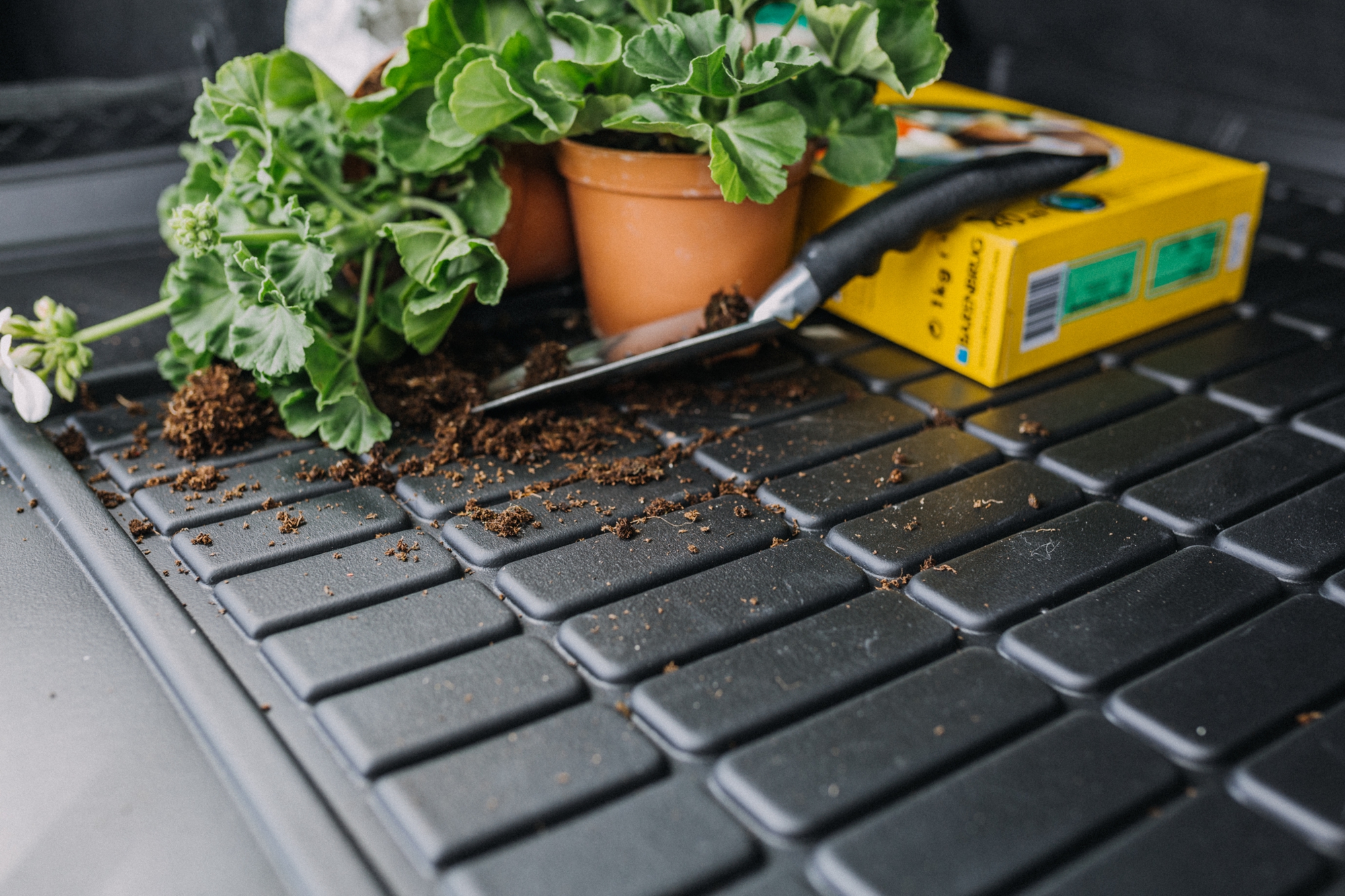 Kofferraumwanne für Ford EcoSport II