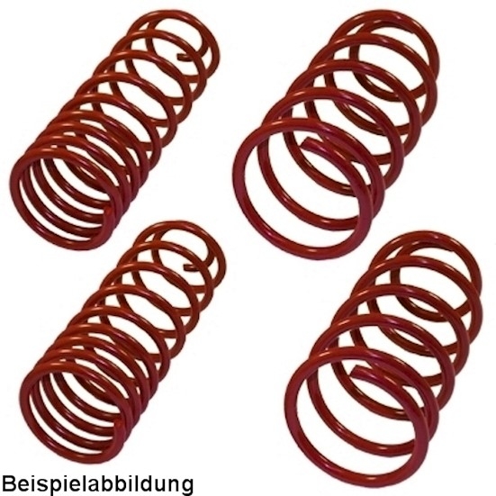 Ta Technix Federn 40/40mm für VW Golf 2 / Jetta 2