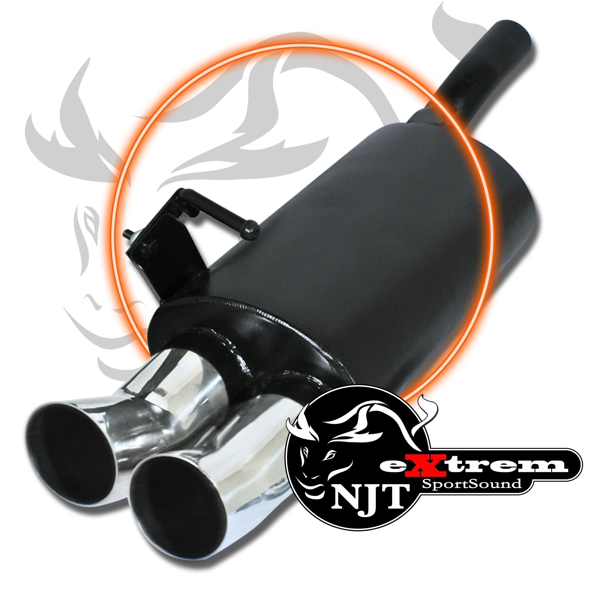 Edelstahl Endschalldämpfer 2x 76mm DTM